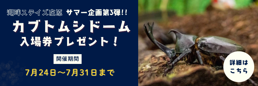 カブトムシとり