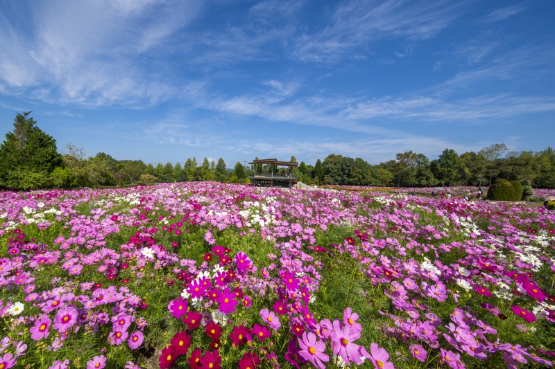 国営公園